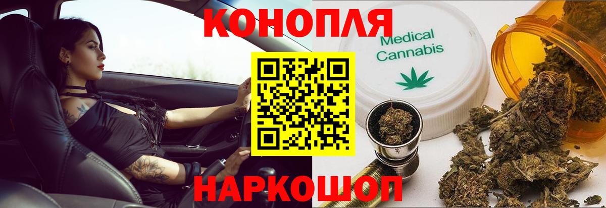 Конопля White Widow  Вход с VPN  Конопля сатива  МАРИХУАНА индика  Бошки марихуана сатива  Новозыбков 